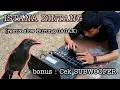 Download Lagu DJ Angklung ISTANA BINTANG by IMp (slow burung gagak)