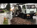 Arlington leaf collection part 1