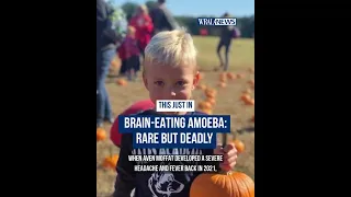 Brain-Eating Amoeba