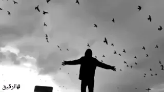 الي زيك مالوش لا يحب ولا يتحب   الشاعر هشام الجخ دندنها