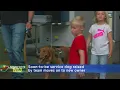 MN Wild Say Goodbye To Golden Retriever Hobey As He Becomes A Service Dog For Veterans