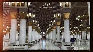 اخلاقه غزت القلوب بلطفها      النقشبندي    دندنها