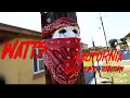 DEEP INSIDE BOUNTY HUNTER BLOODS of WATTS TERRITORY