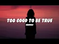 Hanniou - too good to be true (Lyrics)