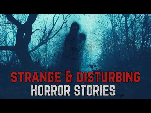 Download MP3 17 Strange \u0026 Disturbing Horror Stories