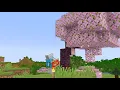 The Minecraft Singleplayer Experience