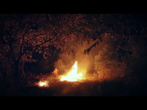 Meiram The Fireline Trailer