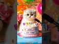 Download Lagu TO YOU BIRTHDAY | HAPPY BIRTHDAY SONG WITH NAMES | Adorable Cute Cat 😺  #happybirthday #cake
