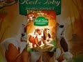 Video di Red e Toby nemiciamici