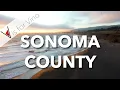 The History of Sonoma County Wine Country the California State Flag - V is for Vino Wine Show