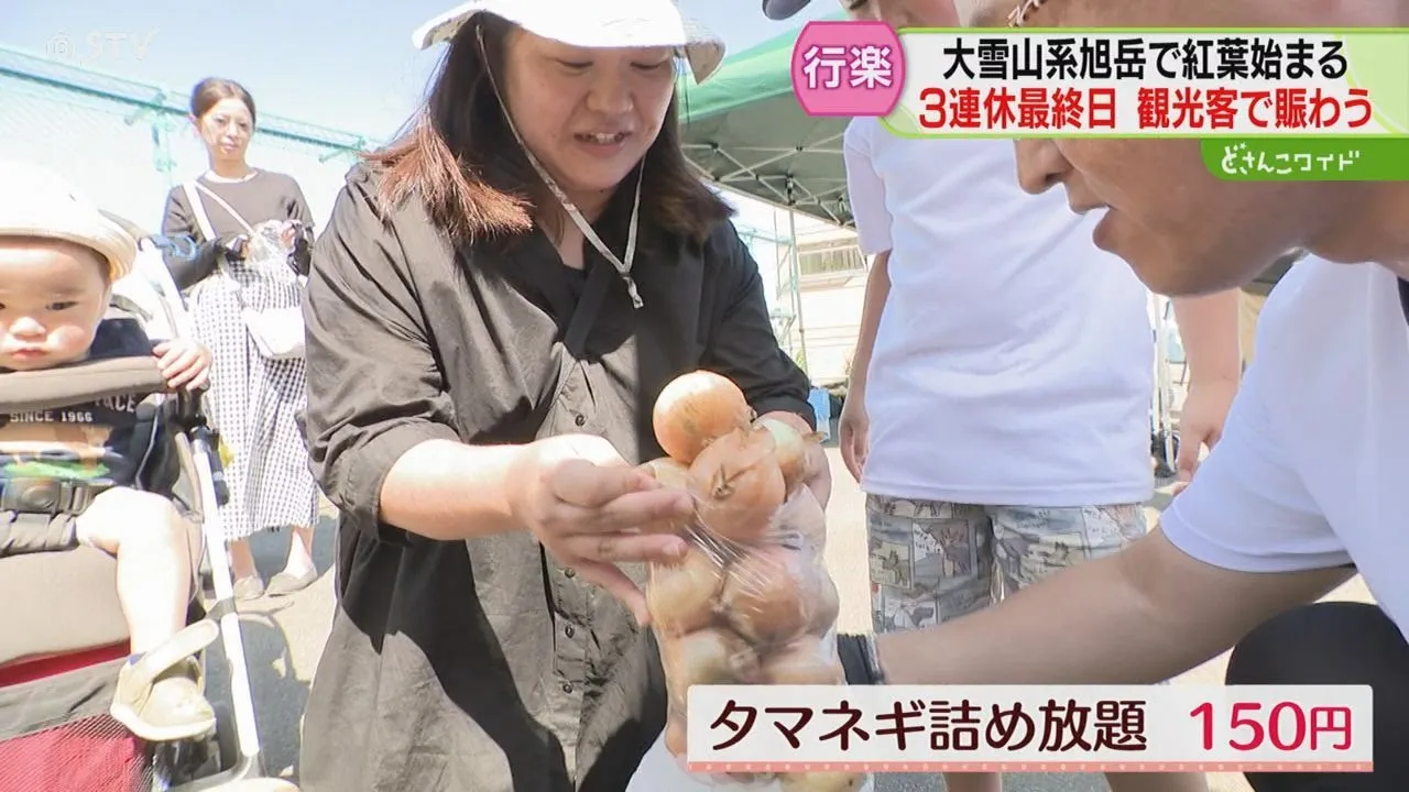 STVニュース北海道 channel featured image
