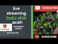 Download Lagu live batu akik giok Permata batu cincin #live #livestreaming #streaming