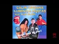 Download Lagu Calin Crisan \u0026 Luminita Puscas - Mi-o venit barbatul acasa