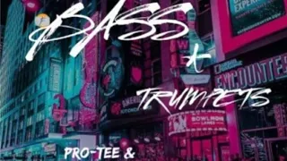 pro tee dj pretty emotional band ft holly k jr la sk