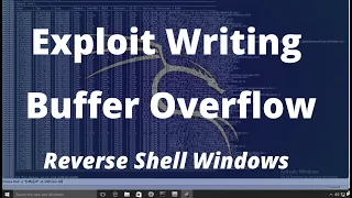 Exploit Writing Buffer Overflow Reverse Shell Windows 10