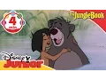 Download Lagu The Jungle Book | The Bare Necessities Song | Disney Junior UK