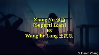 Download Xiang Yu 像鱼 (Seperti ikan) - 王贰浪 Wang Er Lang \u0026 lyrics/lirik MP3