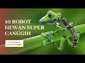 Lagu ROBOT - ROBOT CANGGIH YANG TERINSPIRASI DARI BINATANG
