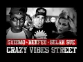 Guizmo -  Crazy Vibes (Street Remix) feat. Nekfeu, Selah Sue (Audio Officiel) / Y&W
