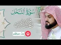 Lagu سورة النحل مكتوبة | الشيخ رعد محمد الكردي