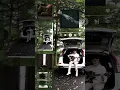 Download Lagu Maafkan dirimu sendiri, kita hanya manusia 🖤
