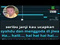 Download Lagu PETUALANG CINTA Dangdut Karaoke Original