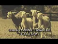 suara kambing bersautan 1 jam
