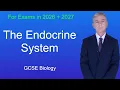 GCSE Biology Revision The Endocrine System