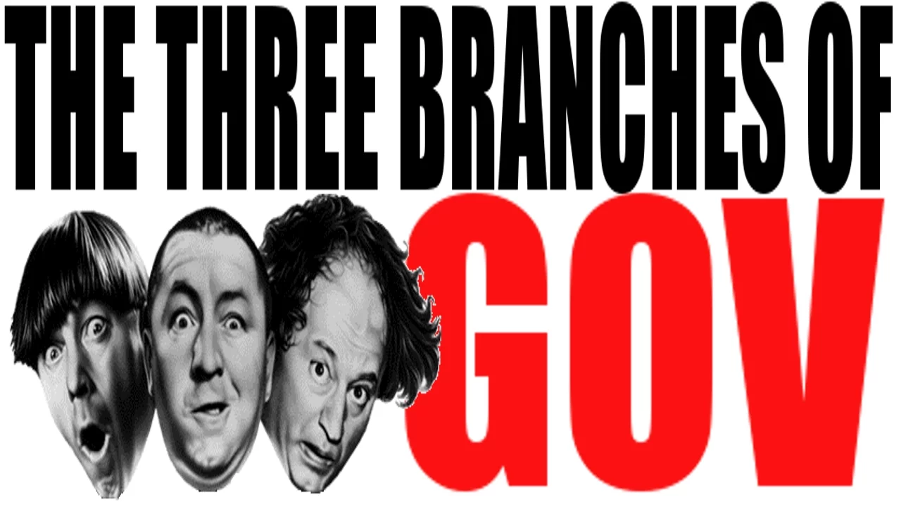The 3 Branches of Government Explained
