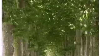 اغنية على الطريق الضيق والطويل أسير ليل نهار وادي الذئاب مراد الــروح 