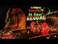 Lagu Reggae de Estrada Natalino 🚗🎄 | Amor, Paz e Reggae do Maranhão ❤️ | Músicas Relaxantes 2025