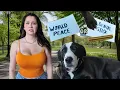 I let my dog choose her perfect day
