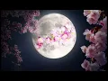 Flower Moon - Durand Jones & The Indications. Video by Jeannie Mitchell Myers