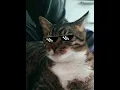 Download Lagu Dr. Dre ft. Snoop Dogg - Still D.R.E. (slowed + reverb) Bass Boosted