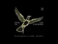 Blasterjaxx & Timmy Trumpet - Time To Say Goodbye (Extended Edit)