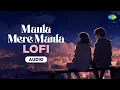 Lagu Maula Mere Maula- LoFi | Anwar | Roop Kumar Rathod | Mithoon | Raahi