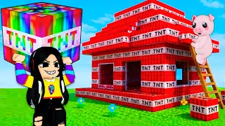 Construyo una casa con TNT en roblox y Rompo el Juego 💣