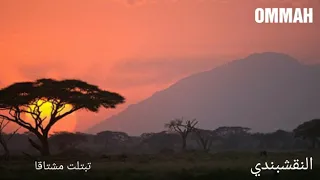 النقشبندي   تبتلت مشتاقا دندنها