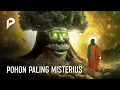 Download Lagu Jibril Pun Tidak Bisa Masuk! Ini Tempat Misterius yang Hanya bisa di Masuki Rasulullah