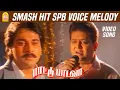 Download Lagu சின்ன கண்மணிக்குள்ளே Chinna - Video Song Paattu Padava | S.P.Balasubrahmanyam | Rahman | Ilaiyaraaja