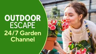 Outdoor Escape Your Garden Channel QVC HSN