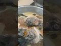 Download Lagu Cooking Salmon Head #sinigang  #shortsyummy #saba #homecook
