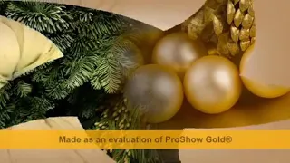 شوفير القامارة 