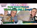 Lagu Which Did I Keep? Coach Candy Crystal Kisslock 16 \u0026 31 Comparison \u0026 Review