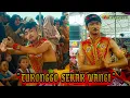 Download Lagu Jaran kepang Kreasi Turonggo Sekar Wangi Keong mas live gelar budaya Gondang-Cepiring