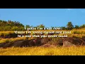 Sofia Carson - Guess I'm a Liar - Lyrics
