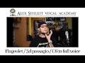 Lagu Alex Shelest Vocal Lessons - Flageolet Register / 3d passagio / C6 full voice