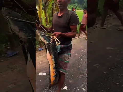 গ্রামের মানুষ গজার মাছকে কেনো ভয় পায়। #ghost #fishing #horror #shorts