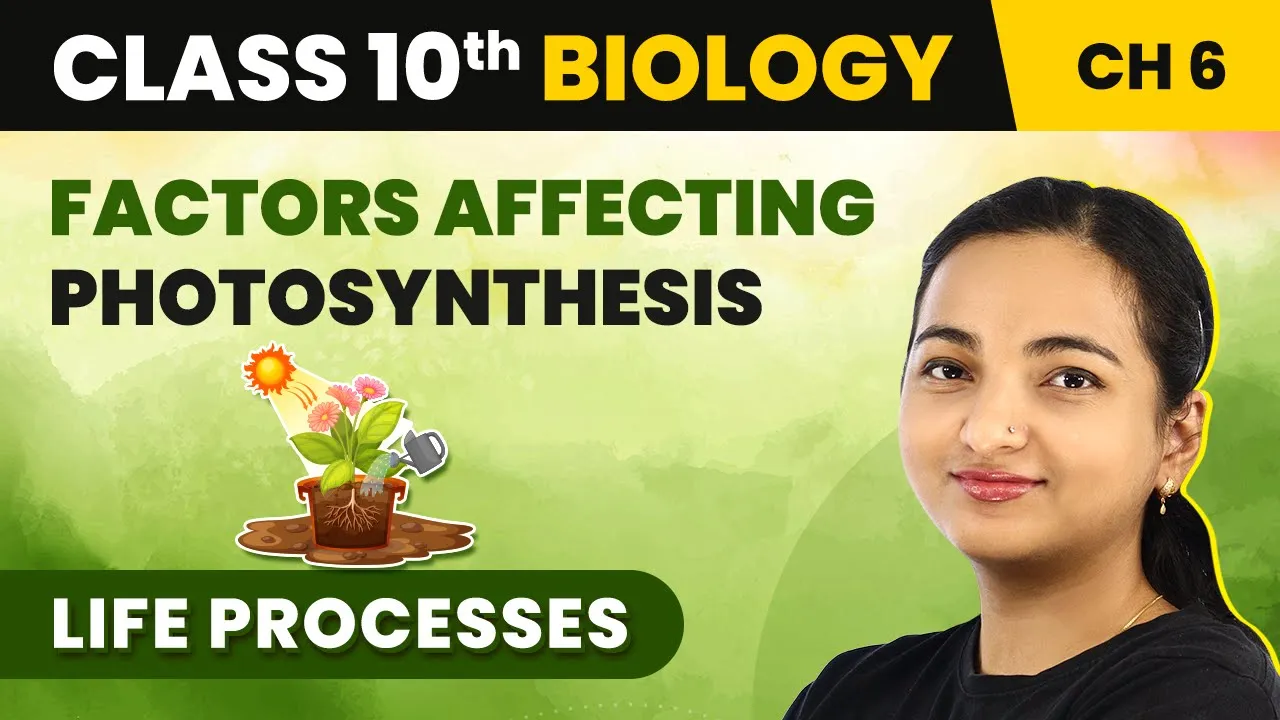 Class 10 Biology Chapter 6 | Factors Affecting Photosynthesis - Life Processes
