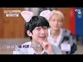 Download Lagu ENHYPEN SUNOO — CUTE RINGTONE
